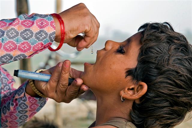Csis global health essay contest